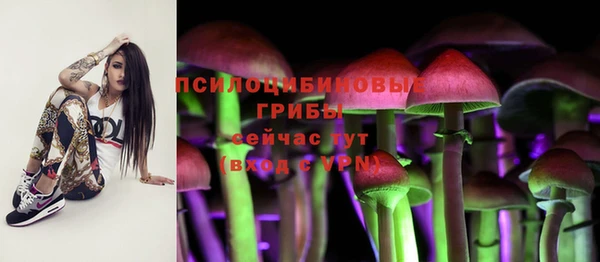 метадон Алексин