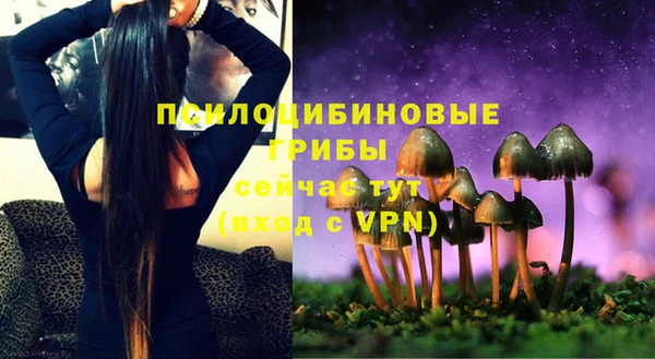 метадон Алексин