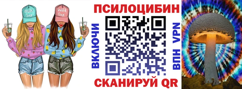 дарк нет Telegram  Алейск  Галлюциногенные грибы Psilocybe  сколько стоит 